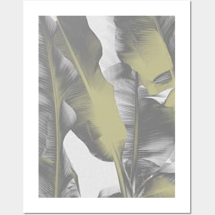 Gray and Gold Banana Leaves Posters and Art